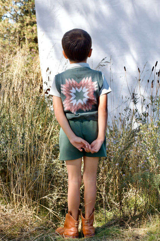 lone star vest . fern