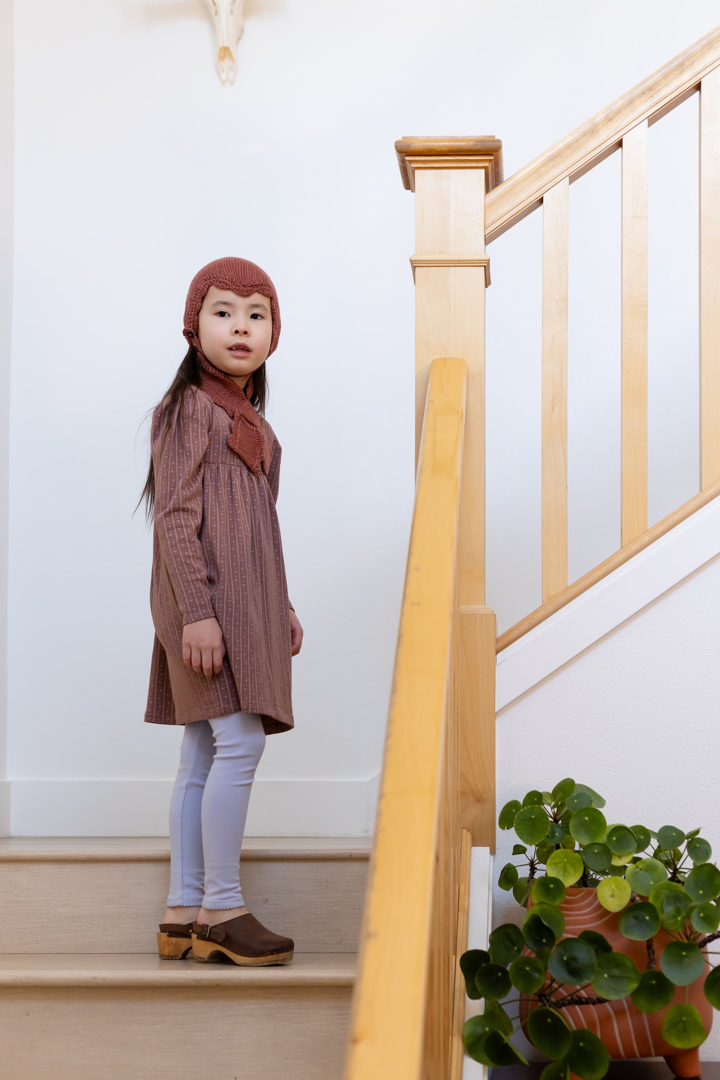 lace-edge cap . madder root