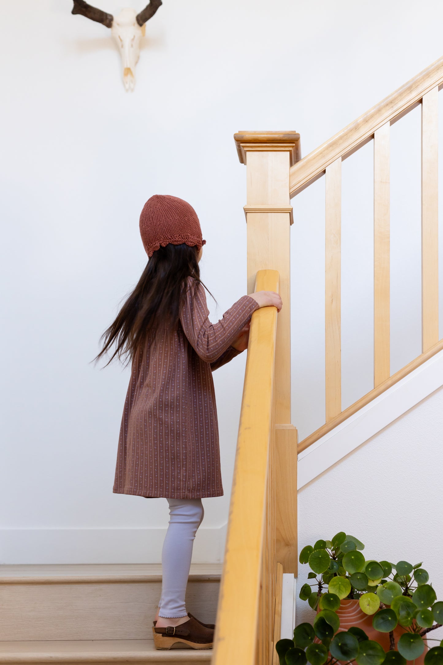 lace-edge cap . madder root