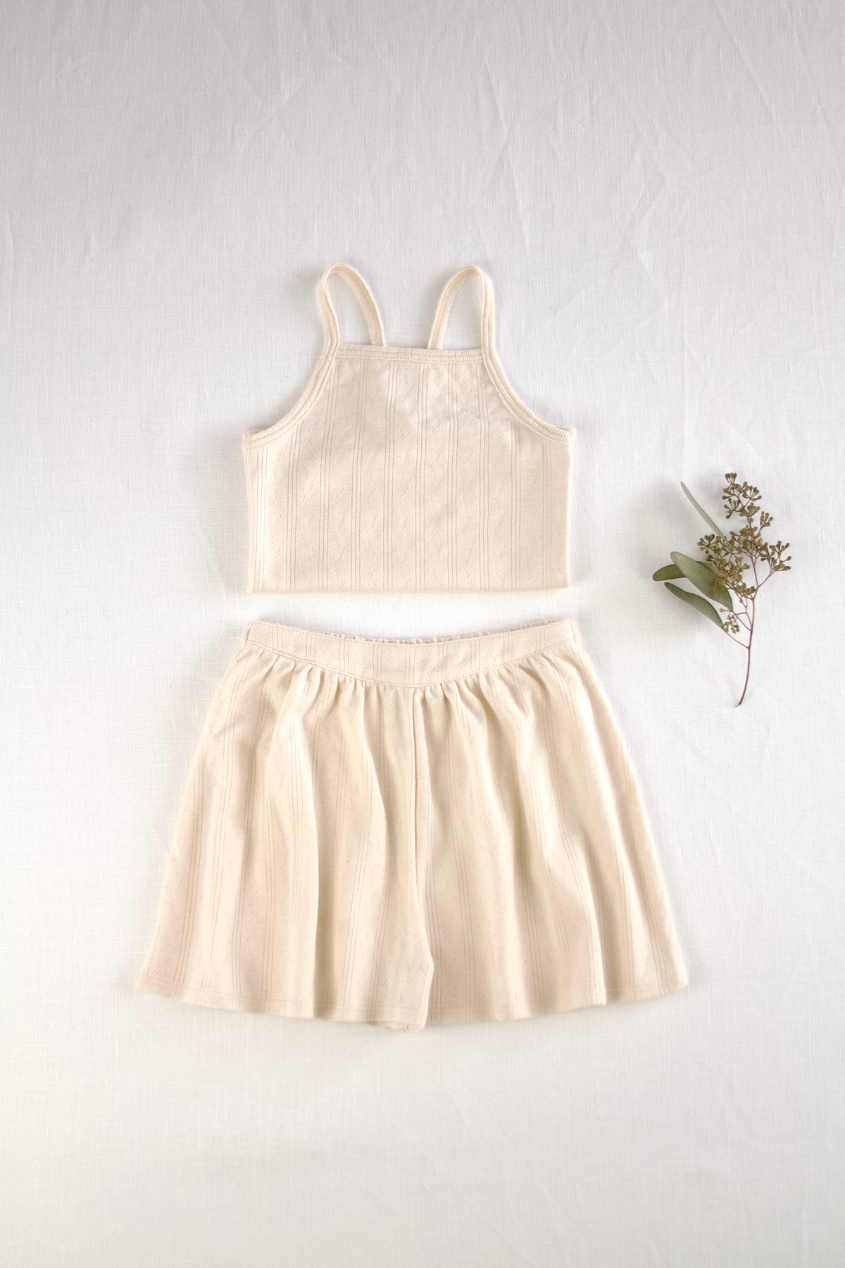pima flutter shorts . vine pointelle