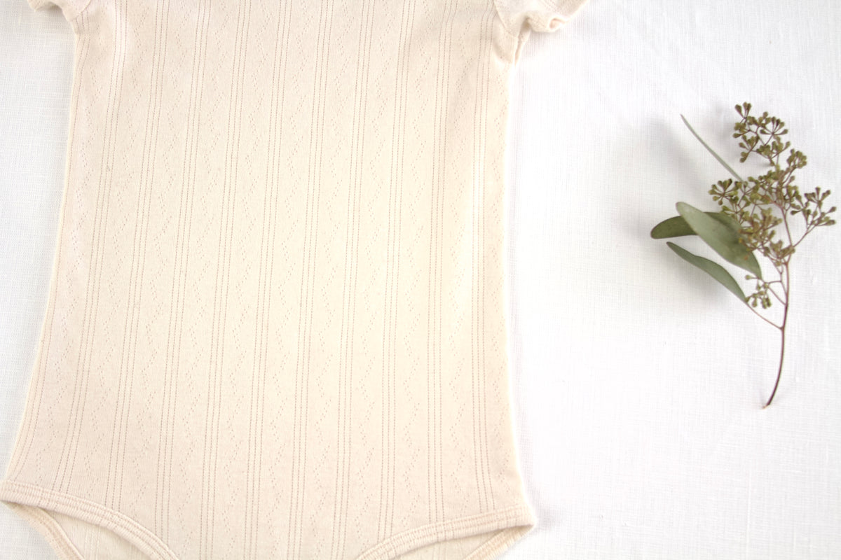 pima bodysuit . vine pointelle