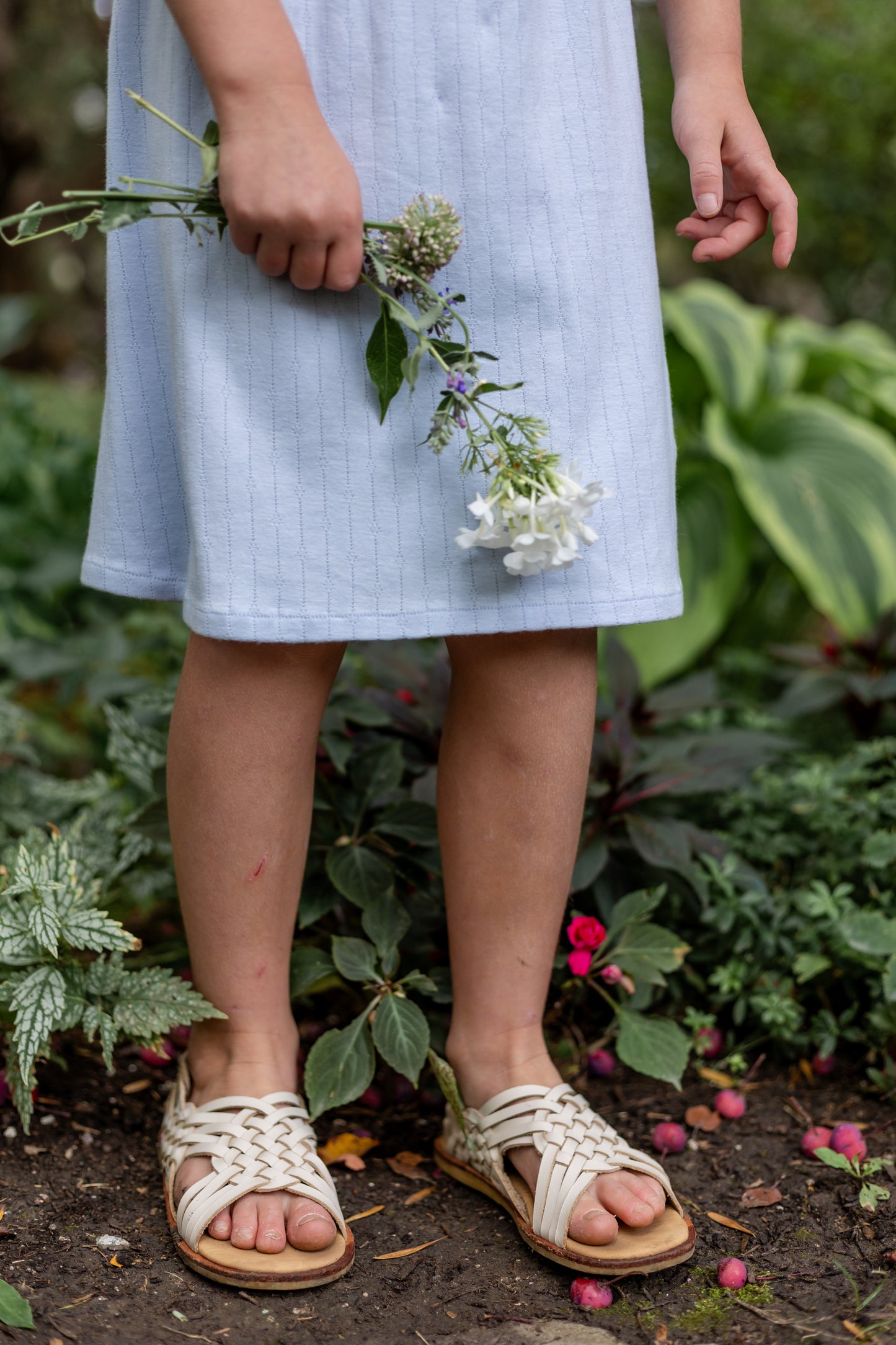 pima picnic dress . forget-me-not pointelle