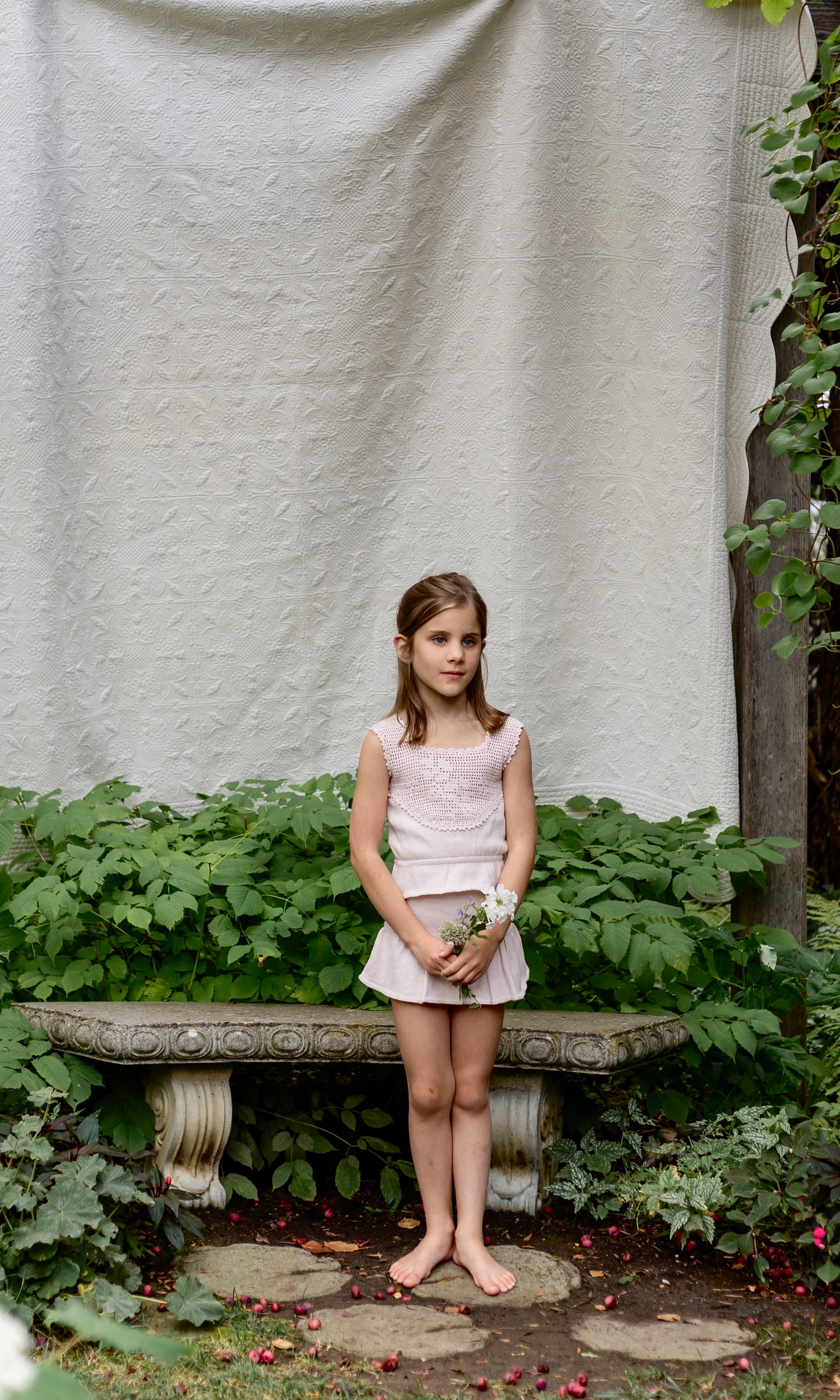 primrose top . shell