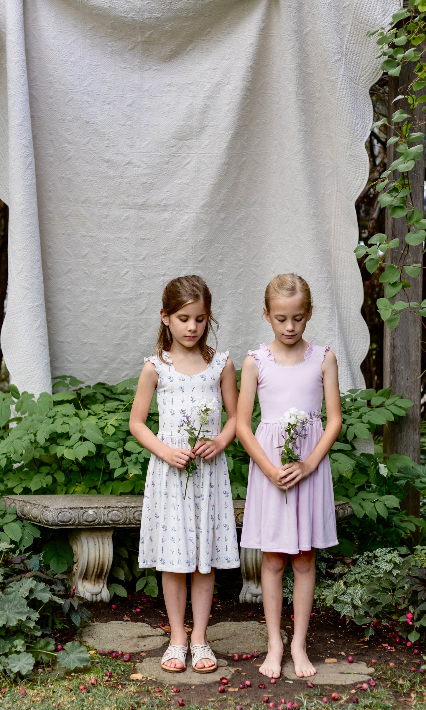 pima frilled dress . thistle