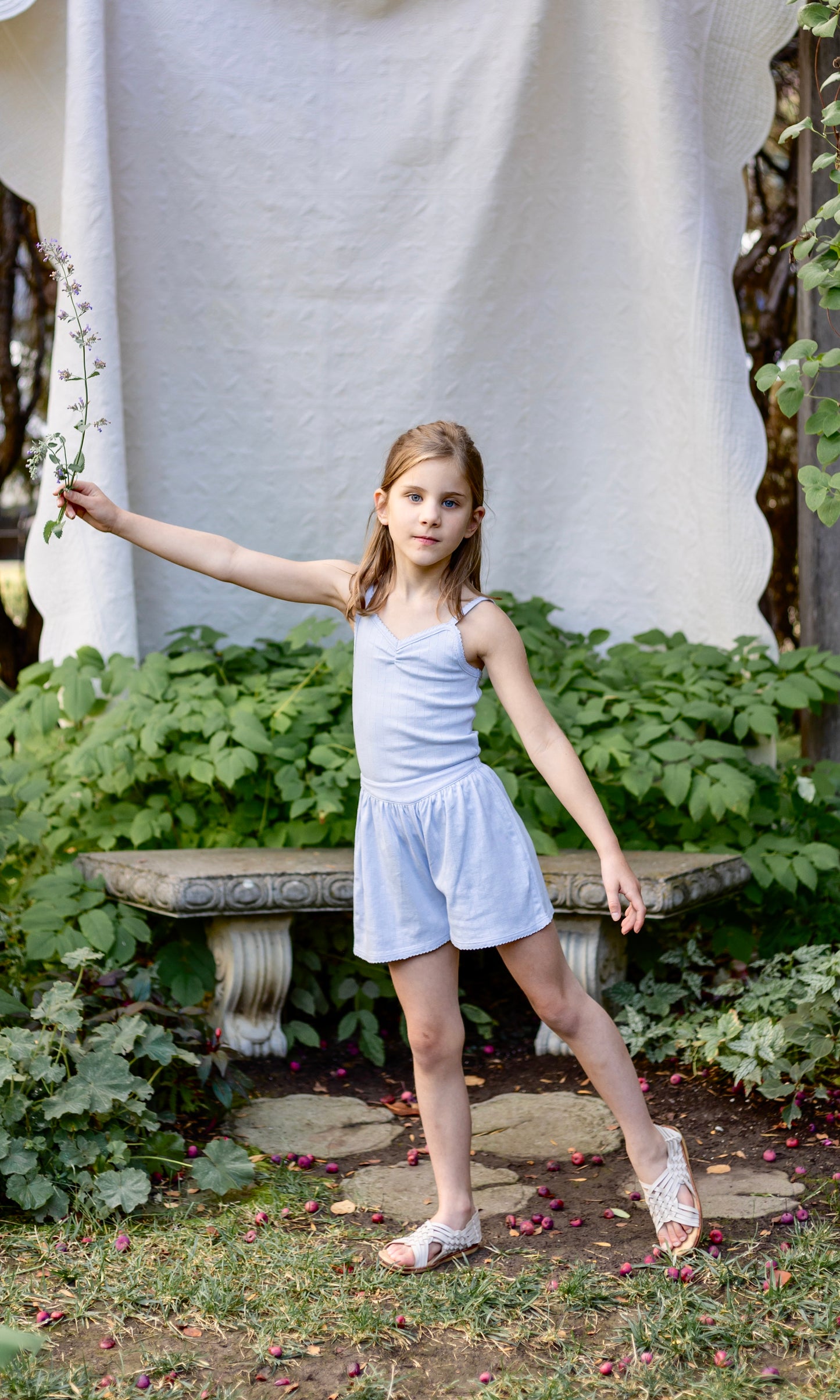 pima flutter shorts . forget-me-not pointelle