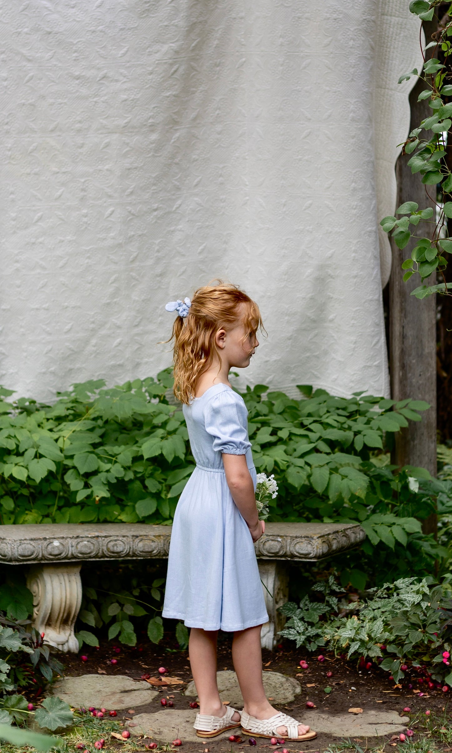 pima picnic dress . forget-me-not pointelle