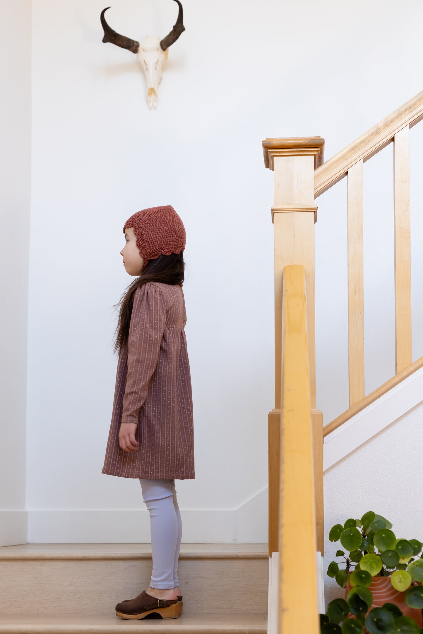 lace-edge cap . madder root